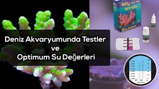 Deniz Akvaryumunda Testler ve Optimum Su Değerleri [upl. by Etti802]