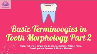 Basic Terminologies in Dental Anatomy Part 2 [upl. by Cirdet205]