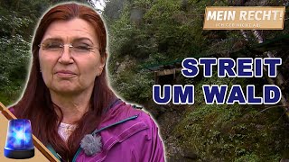 Lebensgefahr Umgestürzte Bäume versperren privaten Wasserzugang Mein Recht Ich geb nicht auf ATV [upl. by Herc]