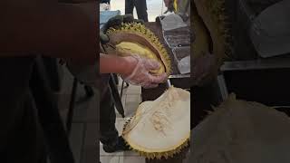 durian tropicalfruit fruitcutting aroundtheworldin80dishes [upl. by Leventhal125]