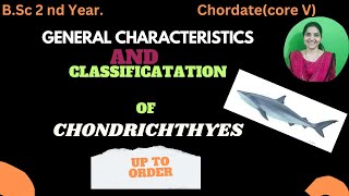 Chondrichthyes classification up to order bsc 2nd yearchondrichthyeschordatesbsc2ndyearzoology [upl. by Oihsoy]