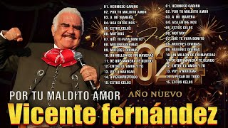 Vicente fernandez  sus mejores rancheras mexicanas  viejitas pero bonitas💖 30 grandes exitos 2024 [upl. by Ready]