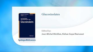 Glucosinolates [upl. by Wieren]