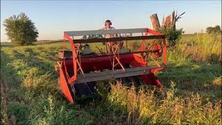 Owatonna Swather Cutting Buckwheat [upl. by Delogu]