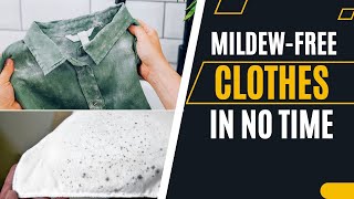 How to Remove Mildew From Clothes Easily Secrets No One Will Tell You [upl. by Tema]