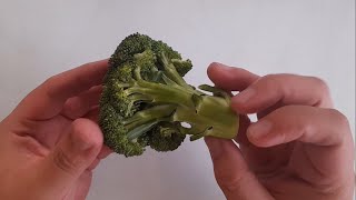 Como Rebrotar o Germinar Brocoli Sin Semilla [upl. by Lama]