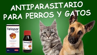 Antiparasitario para PERRO Y GATOS  TELOPAR GEL [upl. by Trimble730]