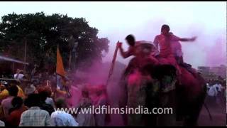 People playing Holi in Rajasthan [upl. by Eevets151]