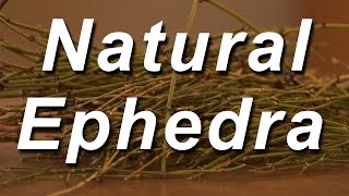 Natural Ephedra  Brigham Tea Extract for sale [upl. by Suoirtemed]