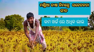 asa asa kariba mandia chasa awareness song on millet cultivationmandia chas odishamilletmiaaion [upl. by Alpert]