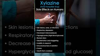 quotZOMBIE DRUGquot BE AWARE OF THIS 😨🧟xylazine BangVlogsTelugu [upl. by Minabe]