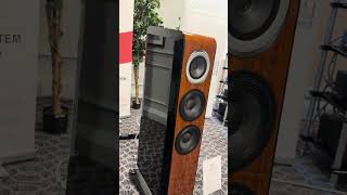 TAD system hifi audiophile audio loudspeaker hifiaudio highend loudspeakers [upl. by Roberson359]