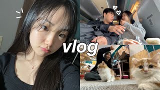 morando sozinha na coreia date uni vlog reunited w bestie café de gatos gyeongju world [upl. by Aneerb]