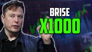 ELON MUSK  BRISE WILL X1000 AFTER DEAL WITH TESLA  BITGERT PRICE PREDICTION 20232030 [upl. by Lawan]