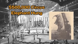 The Tragic Hanging of Mary the Elephant [upl. by Martinez]