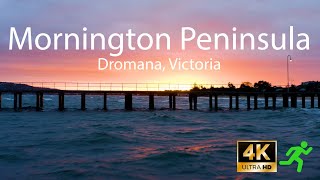 Dromana Pier  epic sunrise drone Mornington Victoria Australia [upl. by Arahahs]