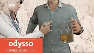 Wie sich der Körper vom Alkohol erholt  SWR Wissen [upl. by Lebazi819]