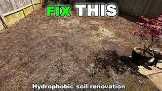 Renovating a HYDROPHOBIC Lawn Do THIS [upl. by Rice988]