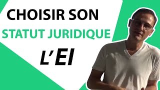 Comment choisir son statut juridique  LEI Entreprise Individuelle [upl. by Omissam]