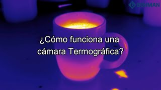 ¿Cómo funciona una cámara termográfica Video 9 FLIR  BOHMAN [upl. by Kayle]