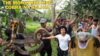 Nahuli na ang kinakatakutan sa lugar namin king cobra salamat cobraprince4601 kingcobratv3640 [upl. by Ehtyde]