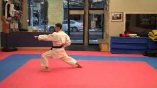 Warren Levi Karate  Taikyoku Shodan  Slow Speed [upl. by Bobine]