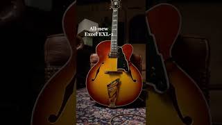 Isnt it a beaut excelexl1 guitar jazz jazzguitar music dangelico [upl. by Alracal]