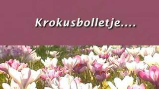 Krokusbolletje [upl. by Whitcomb]