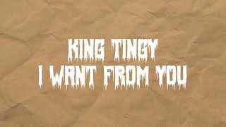 King Tingy  I Want From You Official Song 2024 [upl. by Llyrat]