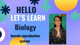 female reproductive system diagram with easy explanation step by step [upl. by Redla]