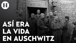 Los horrores del holocausto la vida en Auschwitz los castigos y los sobrevivientes [upl. by Church780]