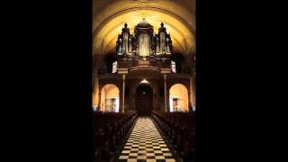 FrançoisXavier Grandjean  Improvisation sur la Brabançonne  orgue de Hayange [upl. by Euf]