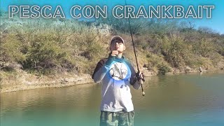 Pescando con currican o Crankbait esta es la mejor temporada para pescar lobina 💪 [upl. by Suoirad]