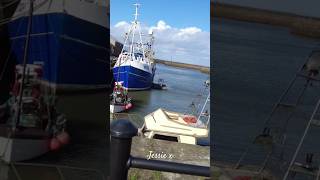 High Tide Maryport Harbour short dogsoninstagram dogsofyoutube vanlifers [upl. by Aicert603]