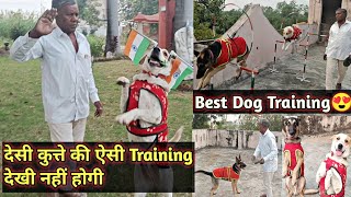 Best Dog Training In Nagpur😍  Aniruddha Alone [upl. by Nnaacissej]