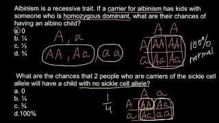 Albinism and simple Mendelian inheritance [upl. by Sukin821]