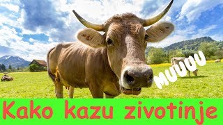 Kako Kazu Zivotinje  Zivotinje Na Farmi [upl. by Etennaej]