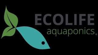 ECOLIFE Aquaponics Program Tour [upl. by Erasmo]