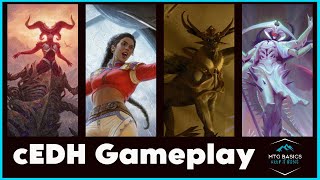 cEDH Gameplay How Bonkers is Dockside Atraxa v Sheoldred v Sisay v Raffine [upl. by Ahsilrak]