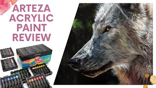 ARTEZA Acrylic Paints Artist Review [upl. by Obrien800]