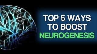 Top 5 Ways To Boost Neurogenesis [upl. by Hitt]