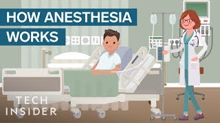 How Anesthesia Affects Your Brain And Body [upl. by Ahsiekram]