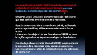 METABOLISMO DEL COLESTEROL [upl. by Kiran813]