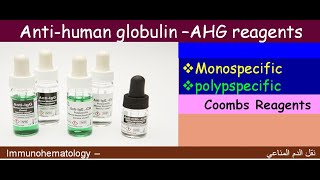 Lecture 111 Anti Human Globulin reagents AHG [upl. by Kaazi]