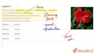 Which of these properties are seen in Hibiscus rosa  sinensis  i Leaves with alternate phyll [upl. by Akit]