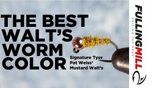 The Best Walts Worm Color Pat Weiss Mustard Walts [upl. by Prisilla10]