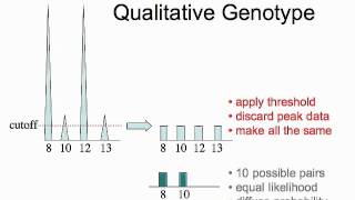 DNA Identification for Lawyers CLE Mixture Interpretation [upl. by Nithsa]