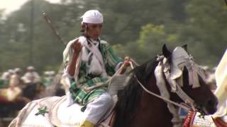 Trophée Hassan II des Arts Equestres Traditionnels 2016 [upl. by Tammi]