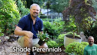 Bring on the Shade Perennials [upl. by Boigie]