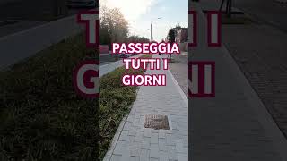 PASSEGGIA TUTTI I GIORNI passeggiare camminare passeggiata camminata relax frase frasi [upl. by Gardel895]